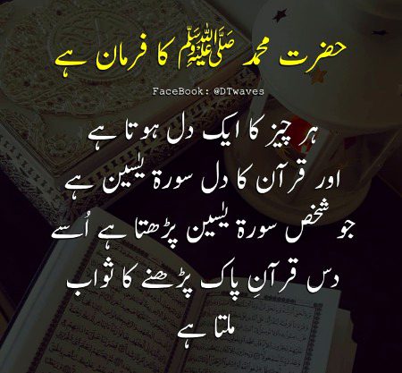 Islamic Quotes image