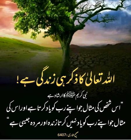 Beshak Beshak..💕💕💕