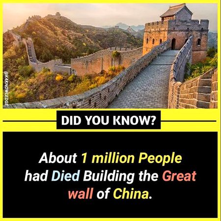 Did you Know