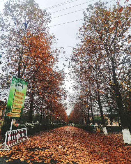 Mall road Comsats Abbottabad