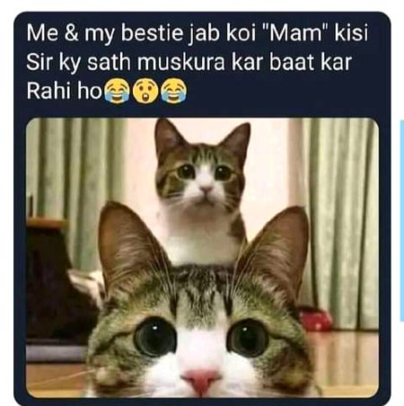 Memes & Satire image