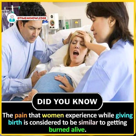 Did you Know