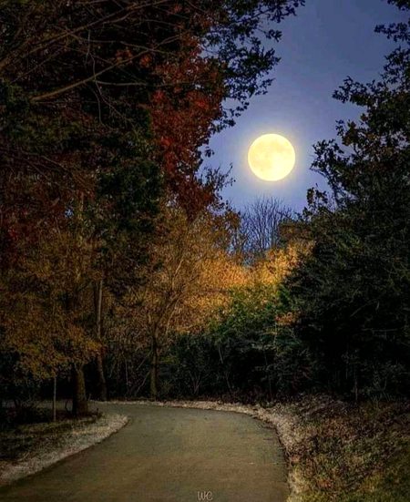 Unsusual morning moon...🖤🖤