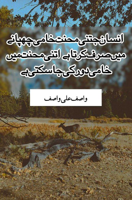 واصف علی واصف