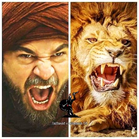 Lion Ertugele....