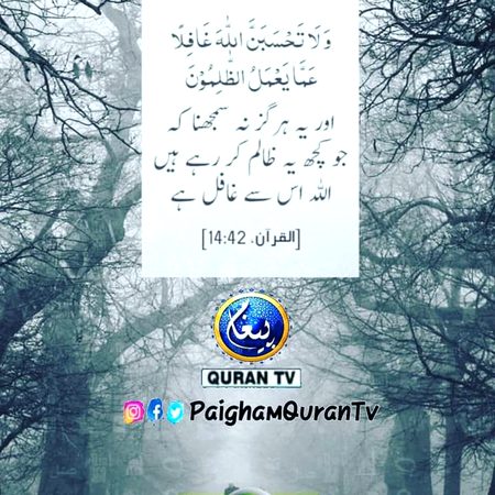 Islamic Quotes image