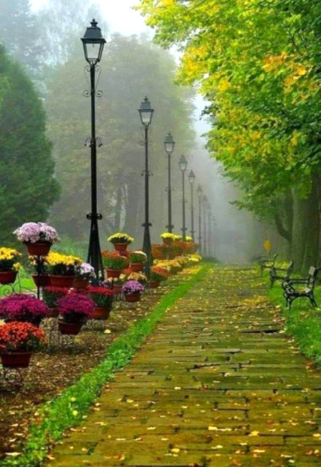 سردی کی شام۔۔ لمبی سڑک۔۔ تم اور میں😍😍