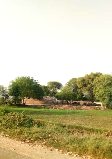 😍😍😍Melsi village view😍😍😍
Anum malik😍👌😇