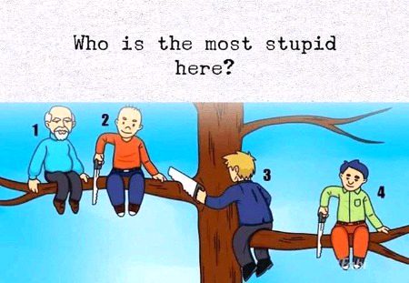 Who Is The Most Stupid Here???