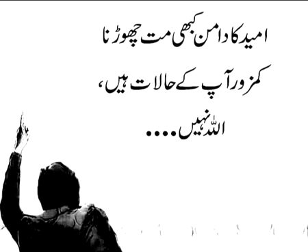 Beshak.....absolutely....right🤩🤩🤩