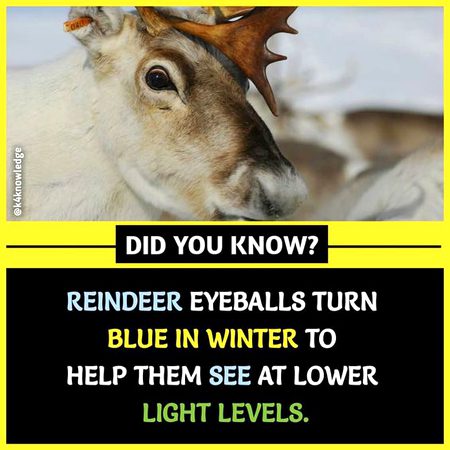 Did you Know