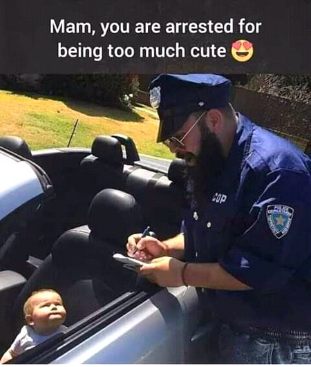 Really so cute...