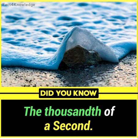 Did you Know