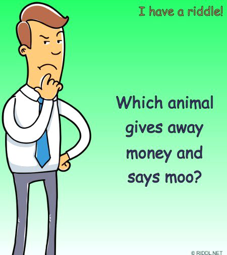 Riddles & Puzzles image