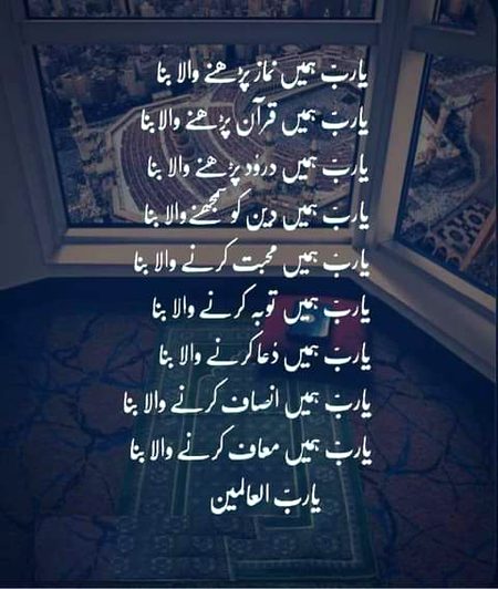 💕💕💕💖💖💕💕💕