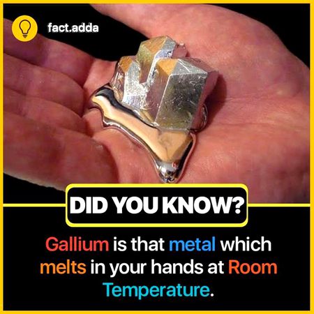Did you Know