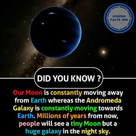 Did you Know