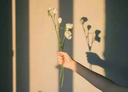 This is the strange way of the world, that people who simply want to love are instead forced to become warriors.

- Lauren Oliver

یہ دنیا کا ایک عجیب و غریب طریقہ ہے ، کہ جو لوگ محض پیار کرنا چاہتے ہیں ، انہیں جنگجو بننے پر مجبور کردیا جاتا ہے

لارن اولیور