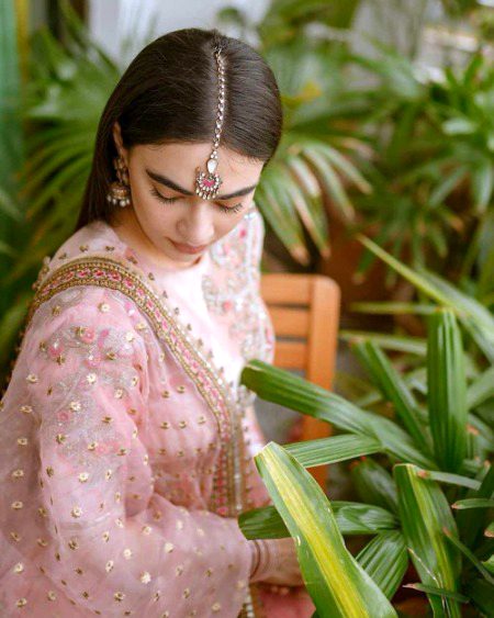 Pakistani Celebs image