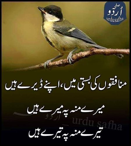 hmmm 👍👍 esi ka naam duniya h schiii