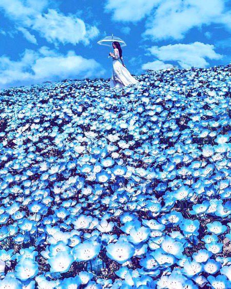 Amazing Place