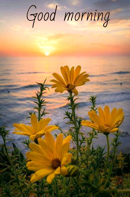 Beutiful vista of morning😍