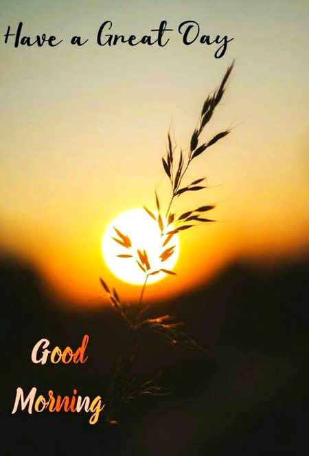 Have a nice day to all friends