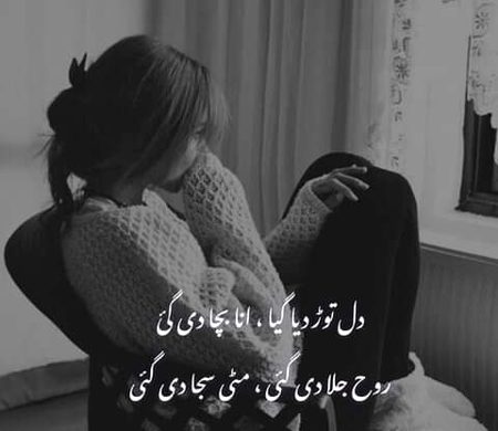 ^°°°^^^°•||•