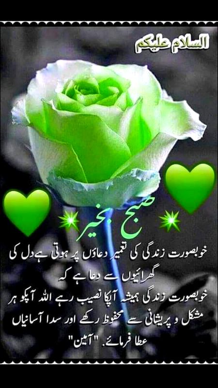 kese ho dosto 🌹💐💐🌹🌹