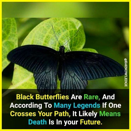 Interesting Posts image