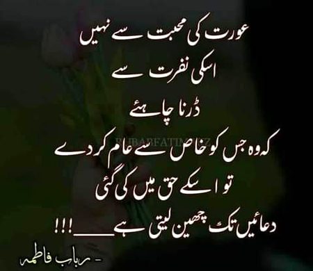 •||•^°°°°^•||•