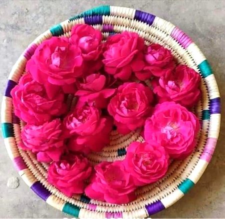 💕نہ جانے کیا چھپا ہوا تھا اس کی نگاہ الفت میں💕
💕نہ چاہتے ہوئے بھی اُس سے دل لگی کر بیٹھے💕
__❤❤