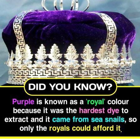 Did you know