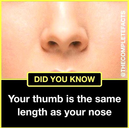 Did you Know