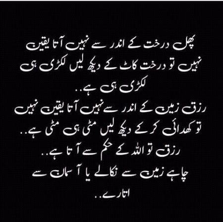 💕اللہ کا کوئی ھم سر نہیں