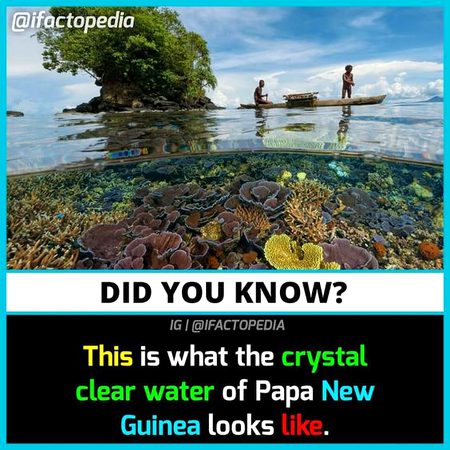 Did you Know