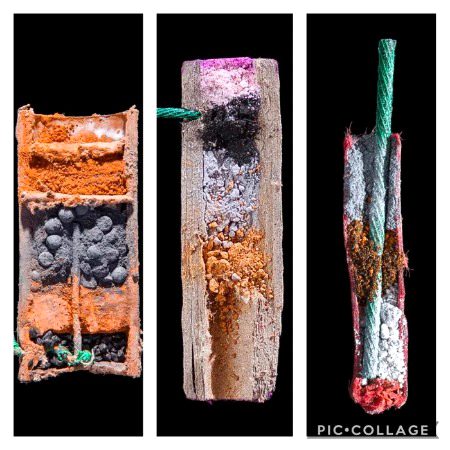 The cross section of a firework