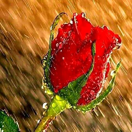 4u......👉❤
