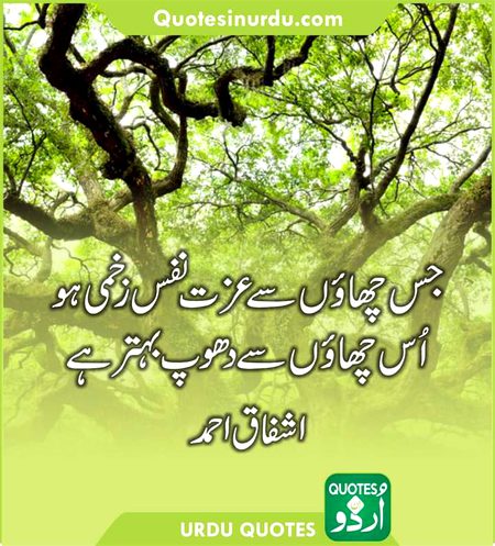 Ishfaq ahmed