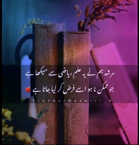 علم ریاضی سے سیکھا ہے 💔 فرض کر لیا جاتا ہے