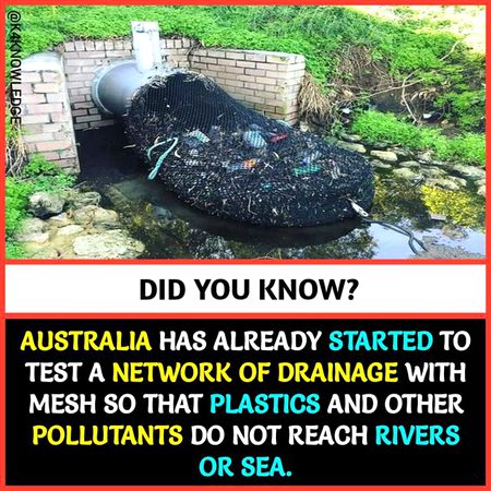 Did you Know