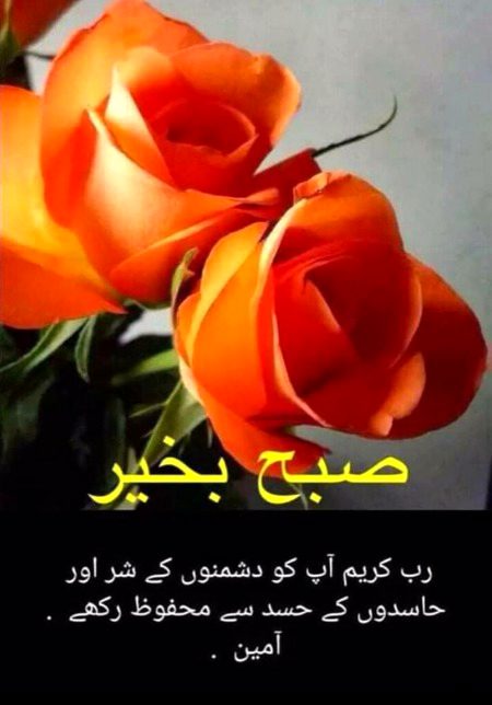 Dosto suba ka salm assalamualaikum kesy hen sub
