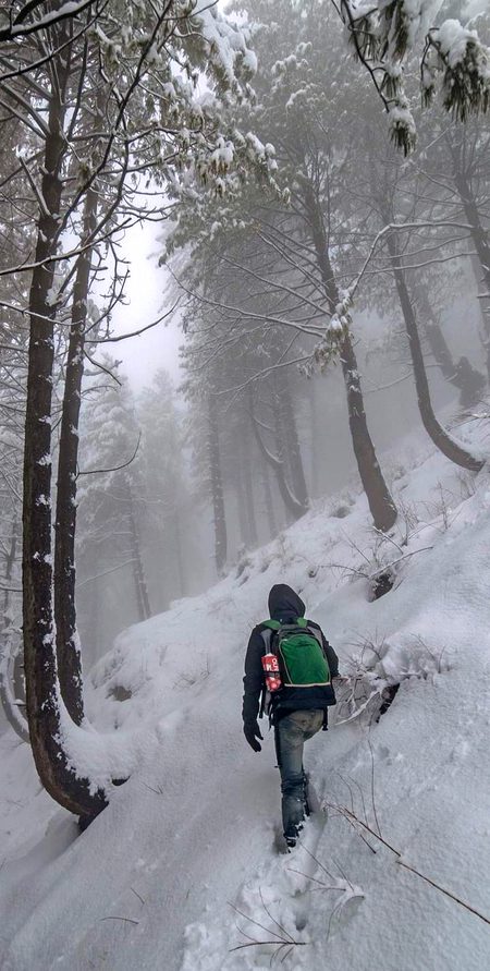 Beautiful Nature image