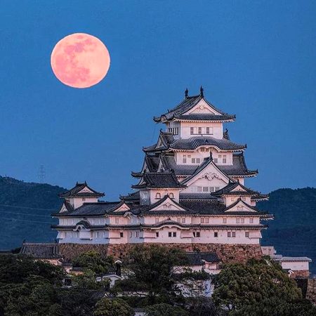 Night veiw of japan