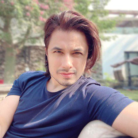 Pakistani Celebs image