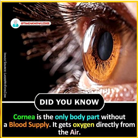Did you Know