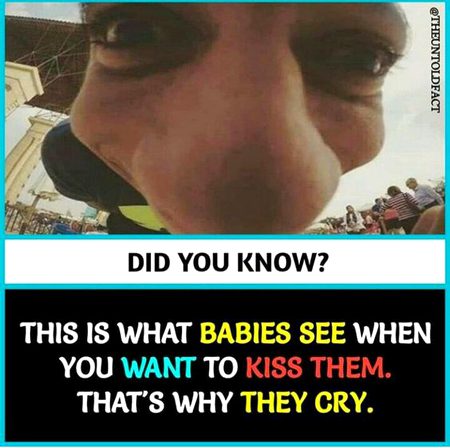 Did you Know