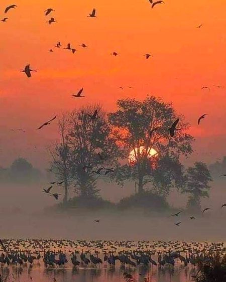 میرے ہی آسماں کا رنگ ہے ایسا 
یا شام کہیں اور بھی اُداس ہے