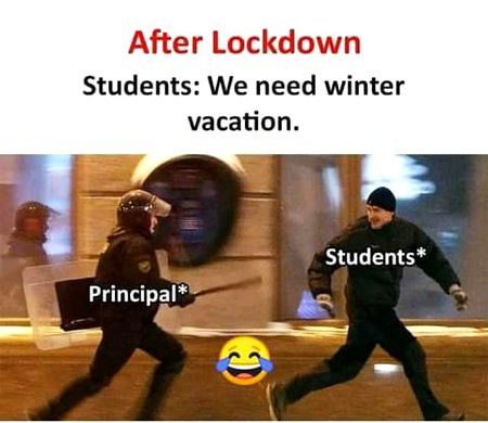 Memes & Satire image