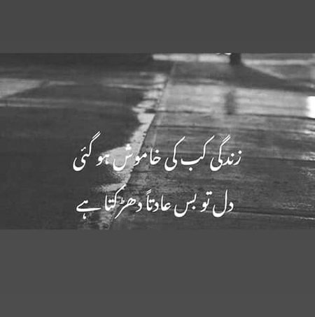 •||•^°°°^°°•||•